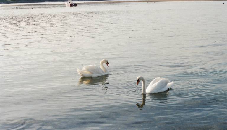 Zbudili smo se v hladno jutro, temperature marsikje pod ničlo