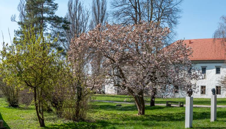 Zjutraj temperature marsikje pod ničlo, čez dan sončno