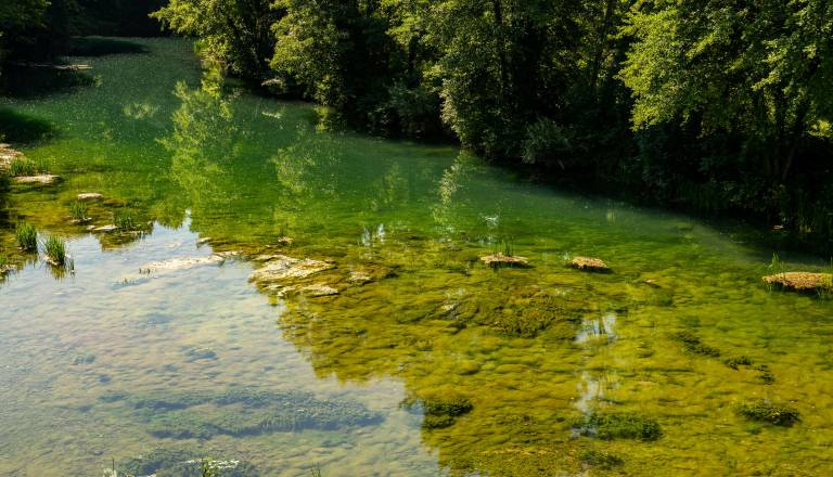 Pretresljive podrobnosti tragedije: Utopljene moške Kolpa odnesla na območju Bele krajine