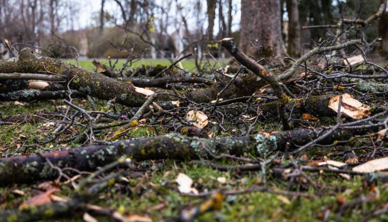 Nevihte in močan veter povzročali težave: Drevesa padala na ceste, veter poškodoval ostrešji