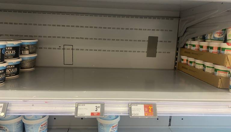 Kam je izginil skyr? 