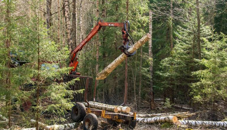 Nove podrobnosti tragedije na Štajerskem: Kriminalisti preiskujejo sum kaznivega dejanja