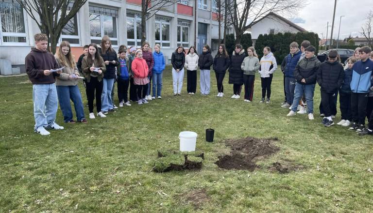 V pomurski občini zasadili 80 medovitih dreves