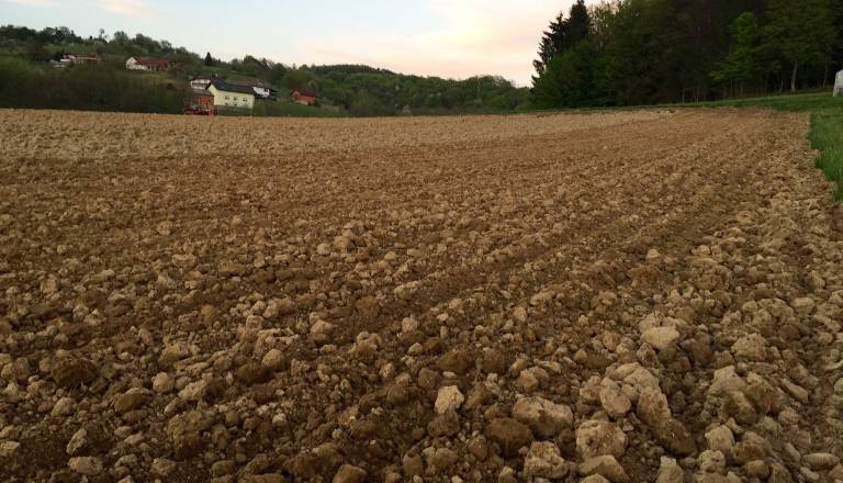 V nekaterih pomurskih občina razmere »resne«, razmišljajo že o prepovedi zalivanja zelenic in pranja vozil