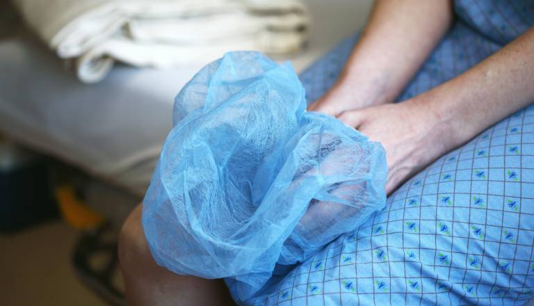 Kaj je hantavirus? Terjal je že več življenj