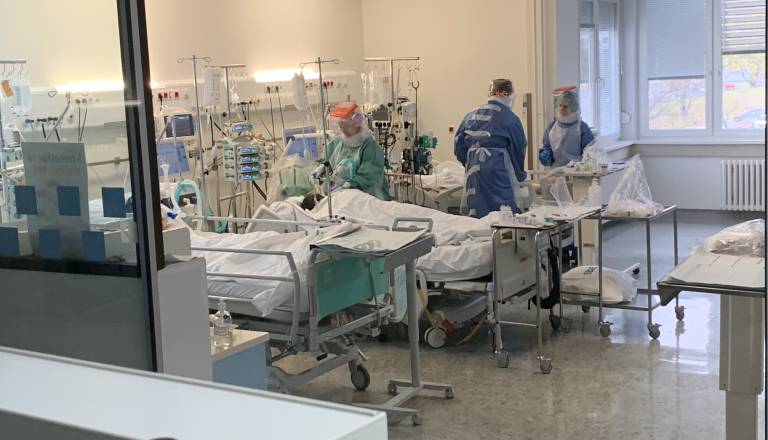 Kaj je smrtonosen virus, ki razsaja na priljubljeni križarki?