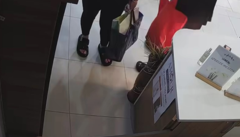 VIDEO: Sredi dneva kradli ljubljanski v trgovini