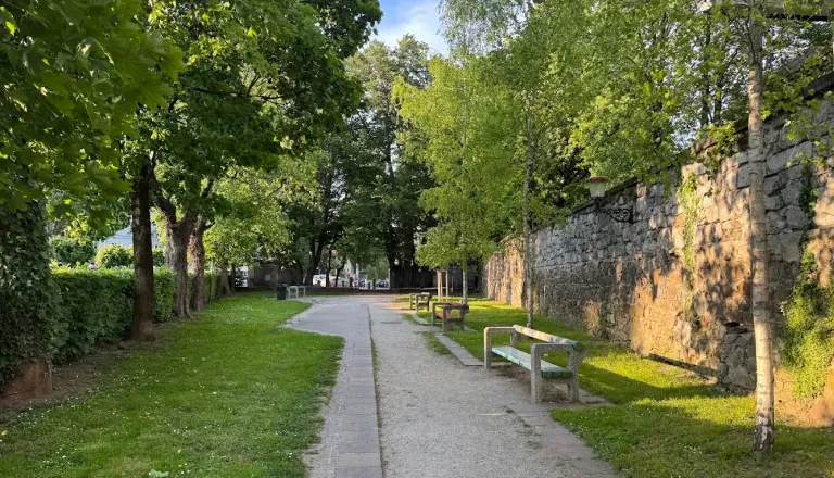Podgane v Križankah: Lahko ogrozijo poletne dogodke v središču Ljubljane?
