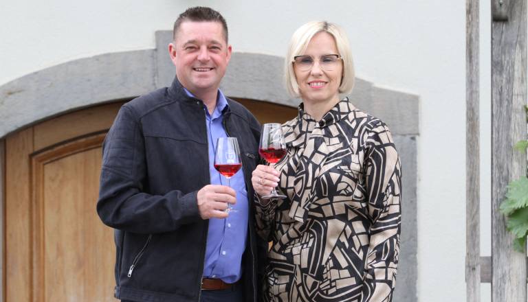 Županjino vino je postal cviček, zmagovalec obdeluje kar 6 tisoč trt