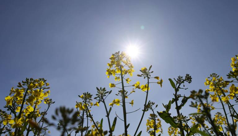 Sonce in prijetne temperature, nato sledi nestanovitno vreme