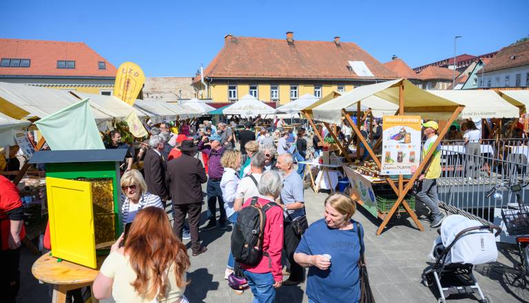 FOTO: Na mariborski tržnici danes brenči: Obiskovalci odkrivajo svet čebel in medu