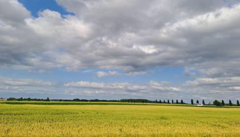 Močne nevihtne celice nad Slovenijo, meteorologi izdali vijolična opozorila