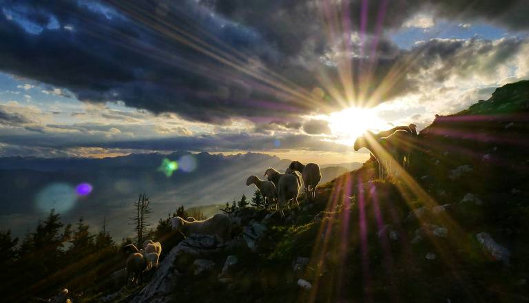 To je oglas za delo, ki je pritegnil pozornost številnih