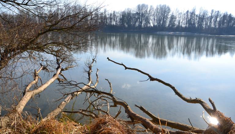 Grozljive podrobnosti tragedije: Glavni tok ga je potegnil pod vodo