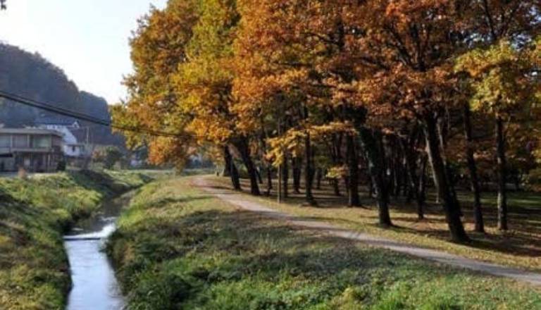 Ljutomerska županja po kritikah zaradi asfaltiranja poti: »Uspelo vam je, da ste marsikoga prikrajšali za gibanje«