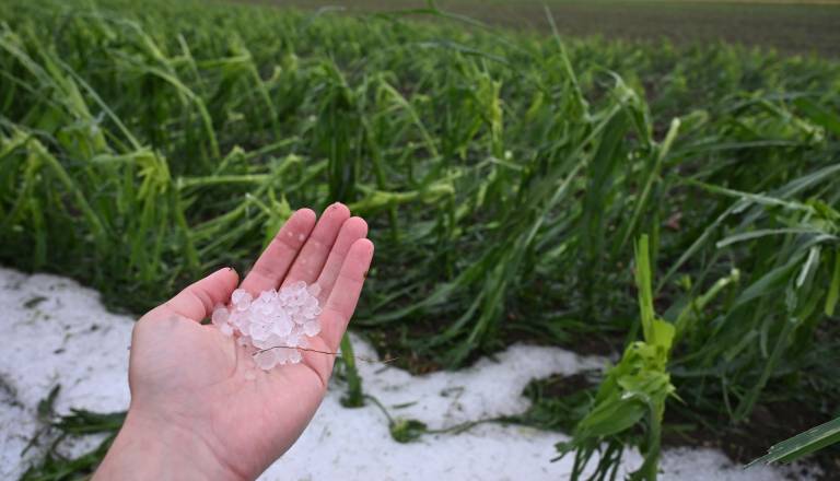 Zakaj se toča po neurju na Ptujskem ni stalila niti naslednji dan? Meteorolog razkriva
