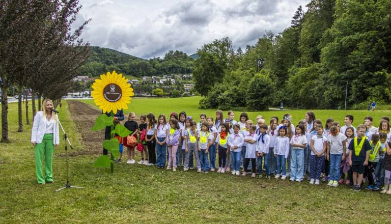 FOTO: Slovenske železnice zasejale 50 kilogramov sončnic po Sloveniji
