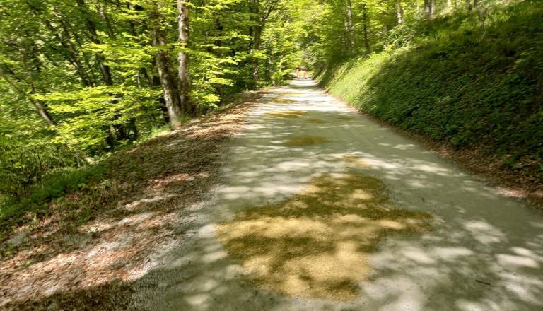 Vse te ceste bo prenavljala dolenjska občina. Marsikatera bo olajšala prevoz skozi kraje