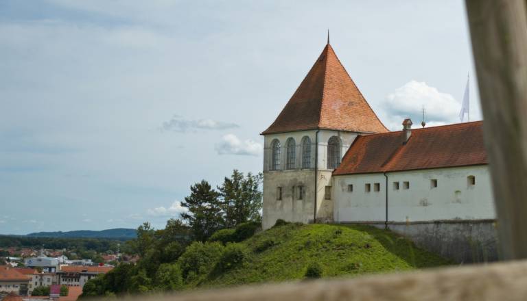 Brezplačno v muzeje, galerije in na razstave: To obiskovalcem na Ptuju in v okolici prinaša Poletna muzejska noč