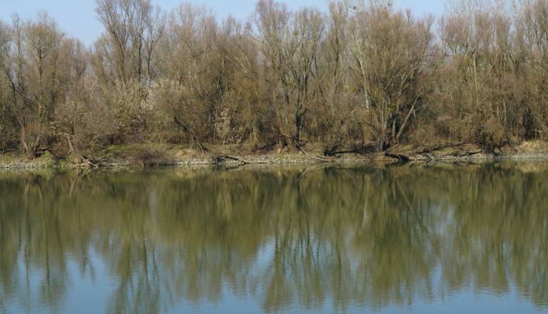 Iskanje pogrešanega otroka v reki, v akciji policisti, gasilci in gorski reševalci