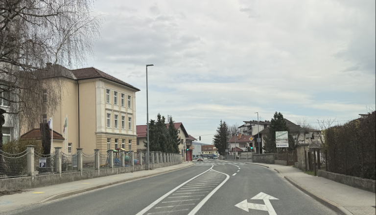 Rekord v Ribnici: toliko kaznivih dejanj niso zabeležili že skoraj desetletje