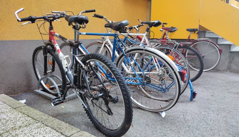 Le peščica mariborskih otrok v šolo prihaja s kolesom: Bi to lahko spremenila ena poteza?