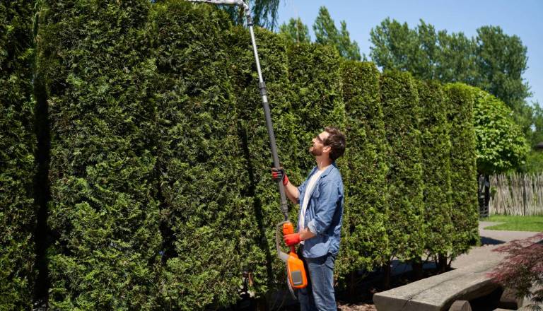Neurejena vegetacija lahko ogrozi prometno varnost in prinese kazen