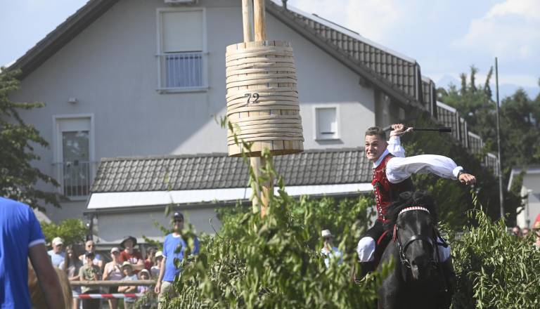 FOTO in VIDEO: Galop, spretnost in tradicija: Posavsko štehvanje znova navdušilo v Savljah