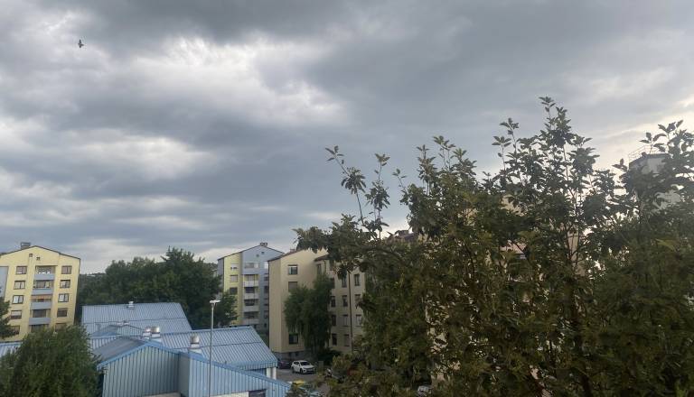 Štajersko zajelo neurje, gasilci na več intervencijah