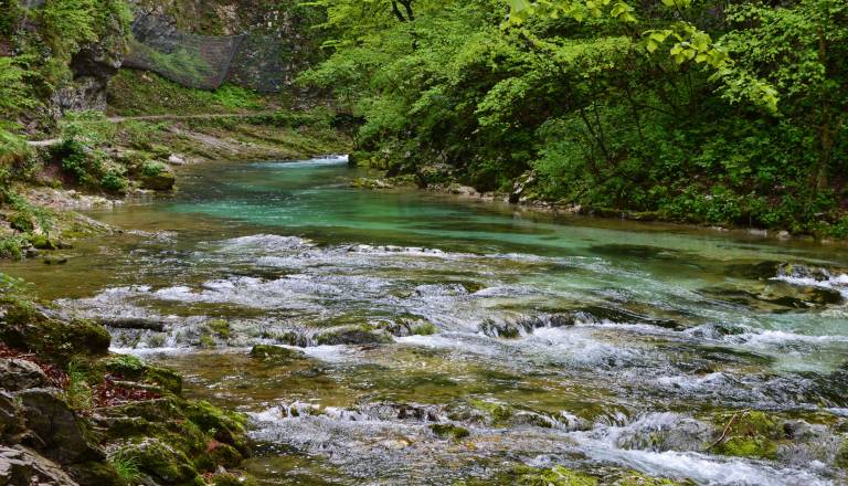 Ob reki se je odvijala prava drama: Moški iz reke rešil utapljajočega ribiča