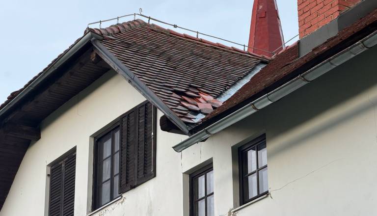 Najhuje v Svetem Tomažu, zaradi poškodovanega električnega voda poginilo devet krav