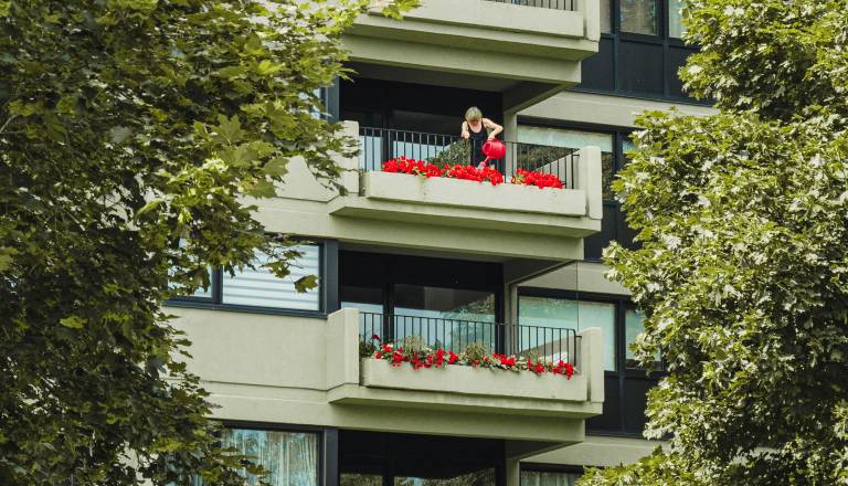 Ljubljančani brez cenzure: To jih najbolj moti pri sosedih v blokih