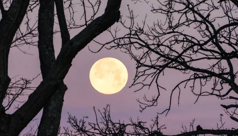 Retrogradni Merkur bo mešal štrene, Jagodna luna pa odprla stare rane