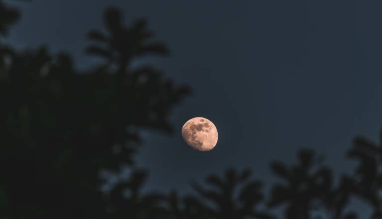 Retrogradni Merkur in polna luna združujeta moči: Rake čaka preizkus odnosov