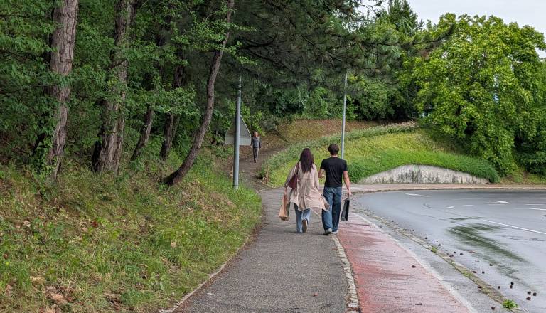 Med Europarkom in UKC Maribor načrtujejo novo pešpot, a izvedba se je zamaknila zaradi ...