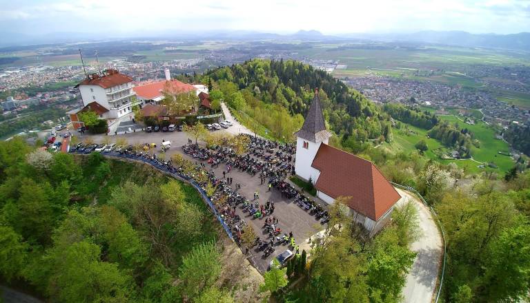 Kranj v zadnjih letih zasadil več kot tisoč dreves: največ novih drevoredov na Planini, Zlatem polju in ob Šmarjetni gori