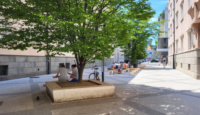 Ljubljana išče rešitev za peklenske poletne temperature: Predlagajo »hladne točke«