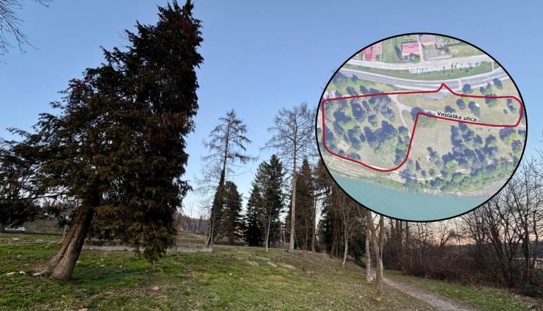 Mariborčani, pozor: Ta ulica bi lahko kmalu dobila novo ime