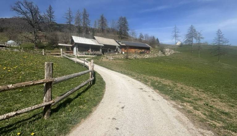 Nova priložnost za podjetnike in kmetije na Loškem: na voljo ugodna posojila