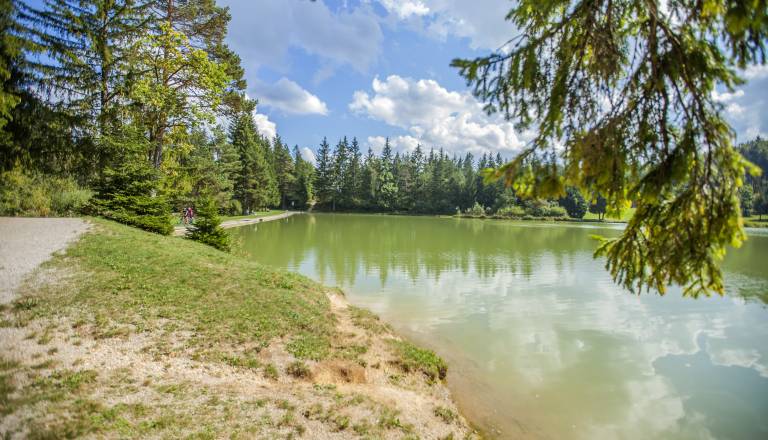 V gorah našli trupli, umrla naj bi slovenska državljana