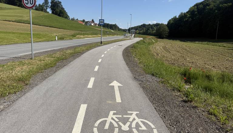 Občani opozarjajo na zaraščeno kolesarsko stezo pri ptujskih termah, kdaj je v planu ureditev?