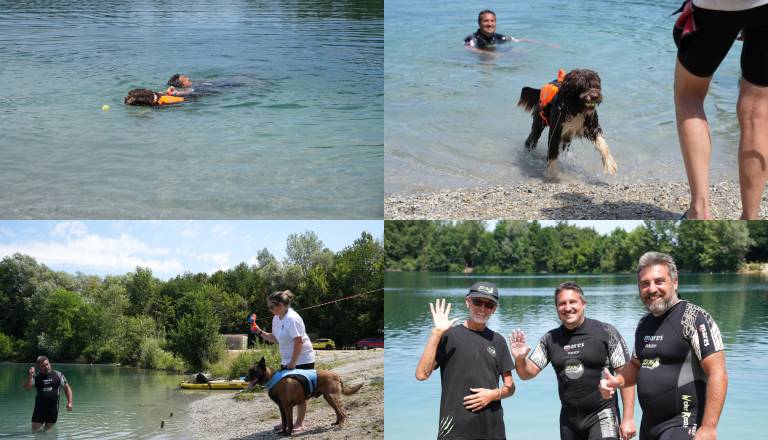 FOTO in VIDEO Pasji reševalci zavzeli gramoznico v Babincih, poglejte atraktivne vaje