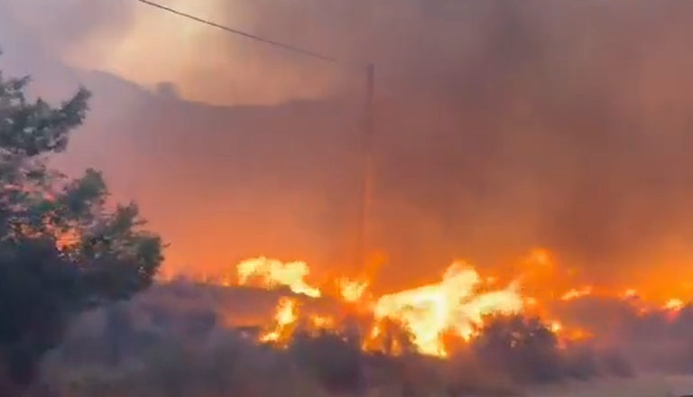 VIDEO: Plameni pustošili po jugu Španije, umrlo najmanj 12 ljudi 
