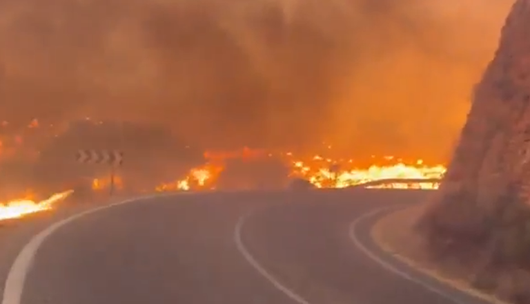 VIDEO: Grozljive posledice požara v Španiji, najmanj 12 mrtvih in več ranjenih