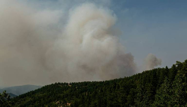 Velik požar pri Bohinju je uspešno pogašen, gasilcem je odlegnilo