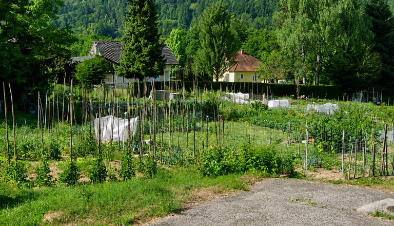 Mimoidoče odganjajo z vrtičkov, kočevska občina jasno o dostopu do območja