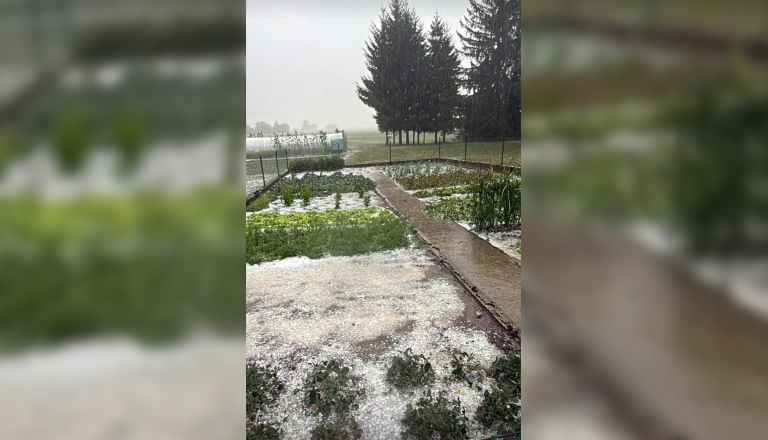 FOTO in VIDEO: Silovit naliv in toča že udarila po jugu države