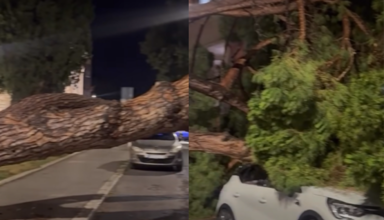 VIDEO: Silovito neurje v Istri povzročilo škodo: Drevo zmečkalo parkirane avtomobile