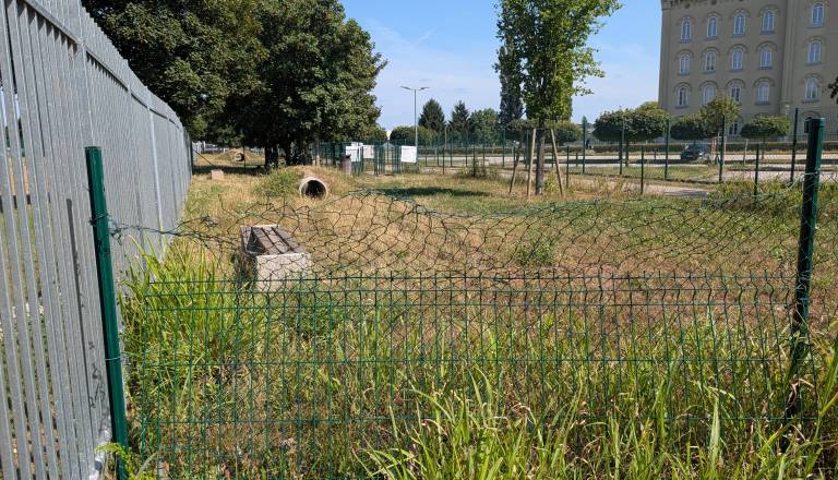 Mariborski pasji park pod plazom kritik: Popivanje, dotrajana ograja in strah med uporabniki
