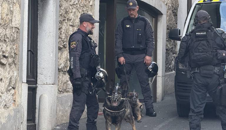 Po umoru partnerke en dan na begu, Policija sedaj razkrila, kako so ga prijeli